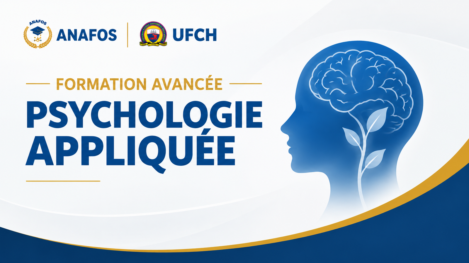 Psychologie Appliquée (Niveau avancé)