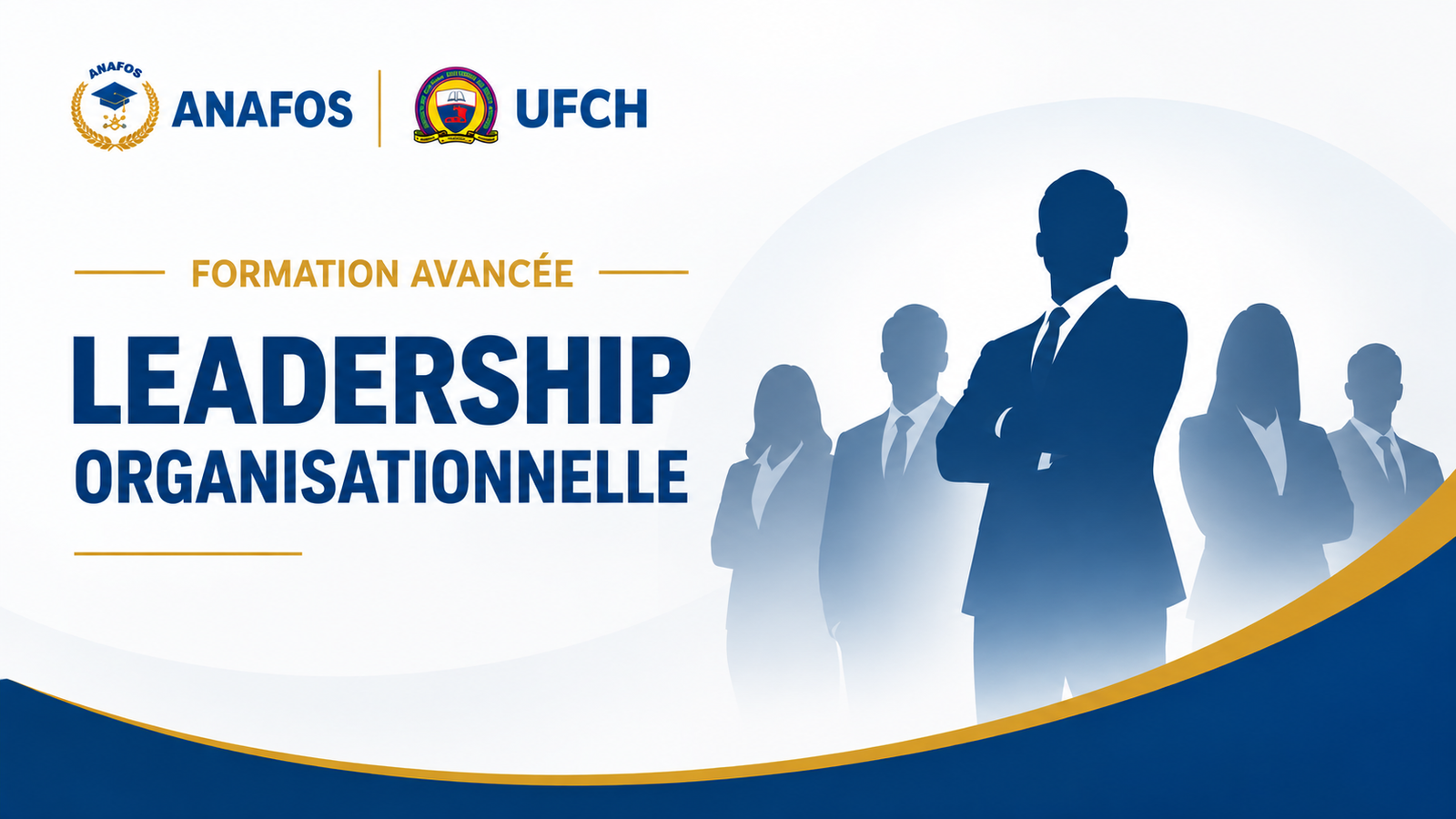 Leadership organisationnel (Niveau avancé)